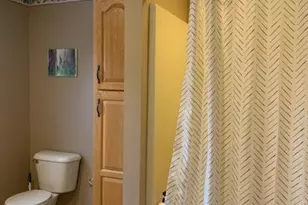 133 Bingham Dr, Brooklyn, MI 49230 - Photo 11
