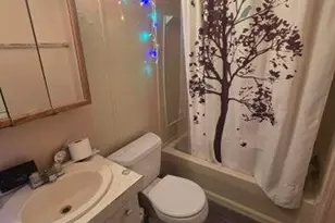 3 Riverview Dr, Saint Louis, MI 48880 - Photo 3