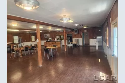 117 N Steer St Street, Addison, MI 49220 - Photo 3