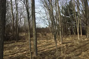 0 12th St, Manistee, MI 49660 - Photo 1