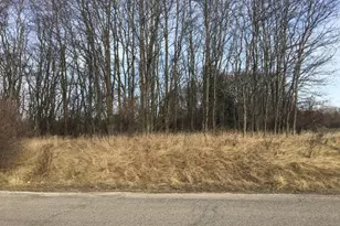 0 12th St, Manistee, MI 49660 - Photo 1