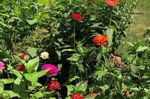 2896 Kim St, Saint Joseph, MI 49085 - Photo 23