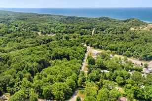 5831 Browntown Rd, Sawyer, MI 49125 - Photo 39