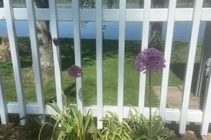 5201 12 1/2 Mile Rd, Burlington, MI 49029 - Photo 35