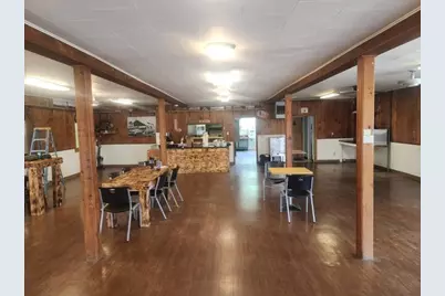 117 N Steer Street, Addison, MI 49220 - Photo 5