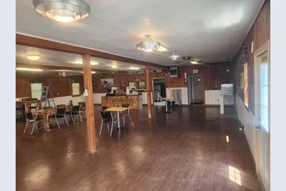 117 N Steer Street, Addison, MI 49220 - Photo 3