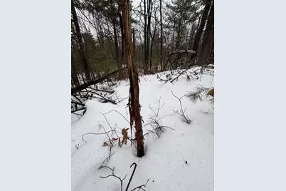 12871 Michigan 33, Atlanta, MI 49709 - Photo 29