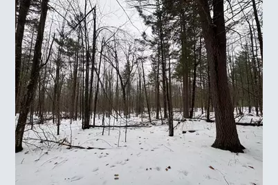 12871 Michigan 33, Atlanta, MI 49709 - Photo 37