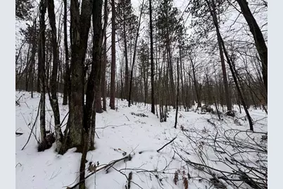 12871 Michigan 33, Atlanta, MI 49709 - Photo 23