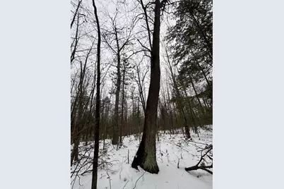 12871 Michigan 33, Atlanta, MI 49709 - Photo 43