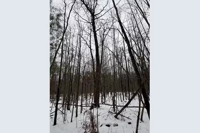 12871 Michigan 33, Atlanta, MI 49709 - Photo 41