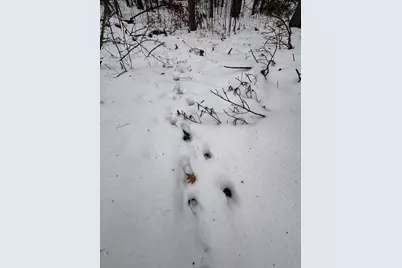 12871 Michigan 33, Atlanta, MI 49709 - Photo 21