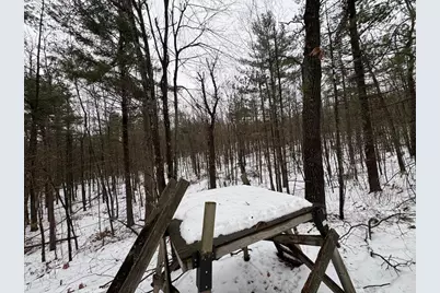 12871 Michigan 33, Atlanta, MI 49709 - Photo 31