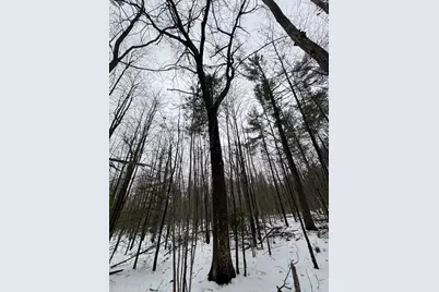 12871 Michigan 33, Atlanta, MI 49709 - Photo 39