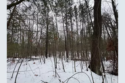 12871 Michigan 33, Atlanta, MI 49709 - Photo 27
