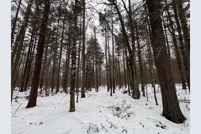 12871 Michigan 33, Atlanta, MI 49709 - Photo 35