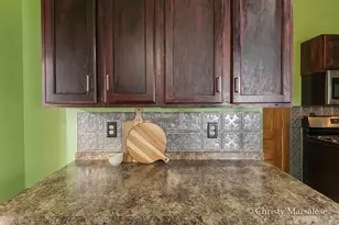 917 S Bridge St, Belding, MI 48809 - Photo 23