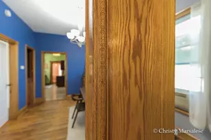 917 S Bridge St, Belding, MI 48809 - Photo 15