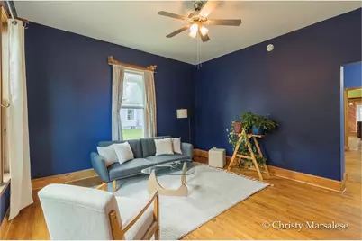 917 S Bridge Street, Belding, MI 48809 - Photo 7