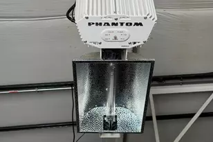 1760 Renaissance Dr, Niles, MI 49120 - Photo 17