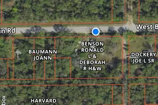 399 W Baldwin Rd, Baldwin, MI 49304 - Photo 3