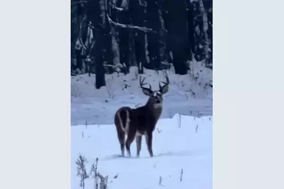 12251 Flowerfield Road, Marcellus, MI 49067 - Photo 5