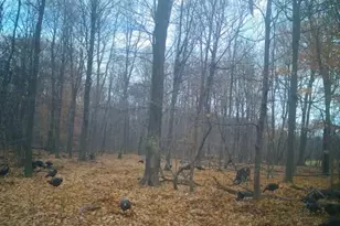 12251 Flowerfield Rd, Marcellus, MI 49067 - Photo 25