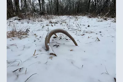 W Us-12 Highway, Manchester, MI 48158 - Photo 29