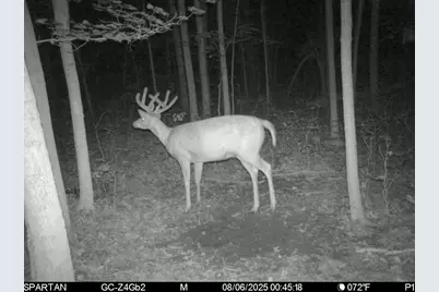 W Us-12 Highway, Manchester, MI 48158 - Photo 33