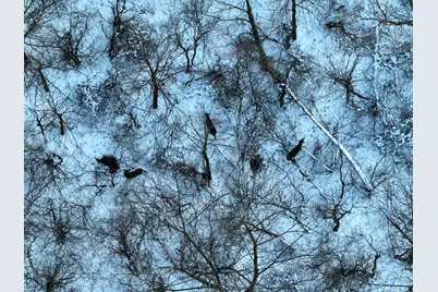 W Us-12 Highway, Manchester, MI 48158 - Photo 7