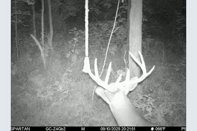 W Us-12 Highway, Manchester, MI 48158 - Photo 31