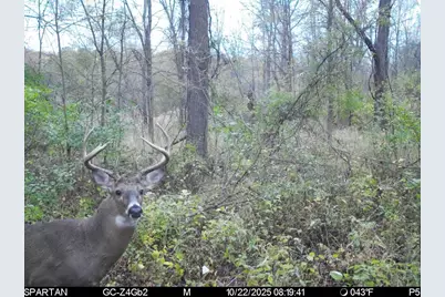 W Us-12 Highway, Manchester, MI 48158 - Photo 9