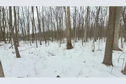 368 Cranson Road, Bronson, MI 49028 - Photo 19