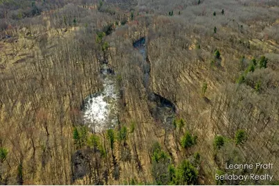 Vl W Weidman Road, Weidman, MI 48893 - Photo 1