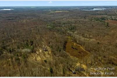 Vl W Weidman Road, Weidman, MI 48893 - Photo 3