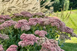 1704 Springwind Dr SW, Byron Center, MI 49315 - Photo 33