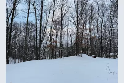 8180 N Echo Valley Drive, Irons, MI 49644 - Photo 11