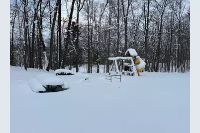 8180 N Echo Valley Drive, Irons, MI 49644 - Photo 3
