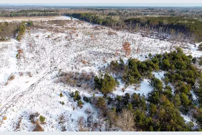 00 V/L N 88th Ave., Hart, MI 49420 - Photo 7