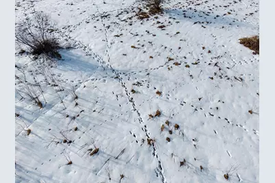 000 V/L N E Monroe Rd., Hart, MI 49420 - Photo 5