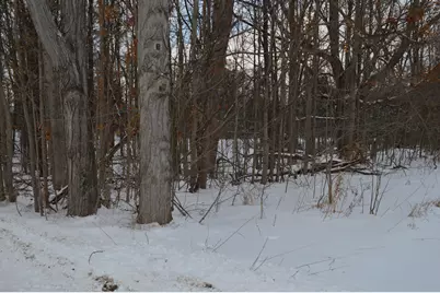 0 Willow Rd, Saline, MI 48176 - Photo 5