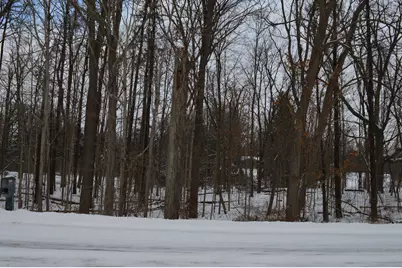 0 Willow Rd, Saline, MI 48176 - Photo 17