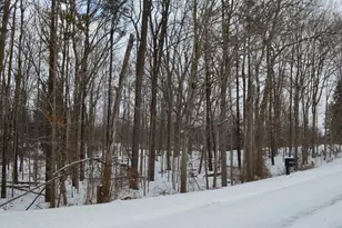 0 Willow Rd, Saline, MI 48176 - Photo 1