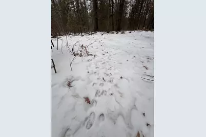 S Loxley Road, Houghton Lake, MI 48629 - Photo 23