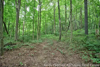 3615 Allegan Dam Road, Allegan, MI 49010 - Photo 9