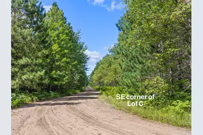 Wallin Road, Thompsonville, MI 49683 - Photo 5