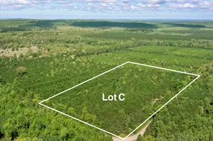 Wallin Rd, Thompsonville, MI 49683 - Photo 1