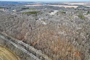 214 Wilson Ln, Ionia, MI 48846 - Photo 17