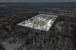 214 Wilson Ln, Ionia, MI 48846 - Photo 25