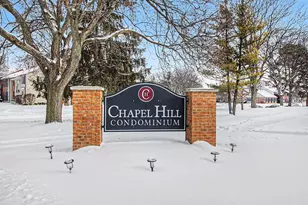 3349 Burbank Dr, Ann Arbor, MI 48105 - Photo 39